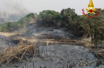 Brindisi, incendio nel parco Di Giulio: fiamme alimentate dal vento, vicino a scuola e case