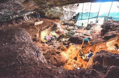 Lecce, nella Grotta Romanelli il ritratto dell'ultimo leone delle caverne europeo