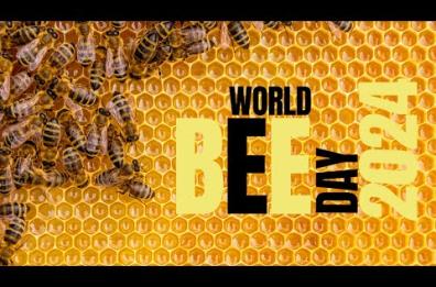 Giornata mondiale delle api: l'omaggio alle sentinelle dell’ambiente