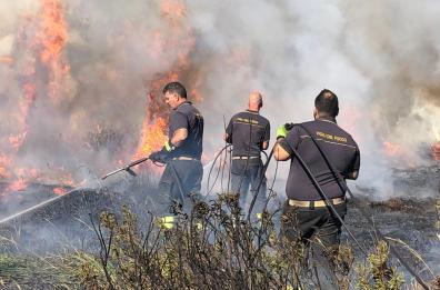 Incendi boschivi, per l'Unione Europea il pericolo in Puglia è «molto alto»