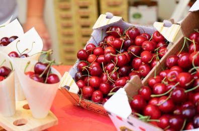 Tutto pronto per la Sagra della Ciliegia Ferrovia di Turi e Conversano. Ecco il programma