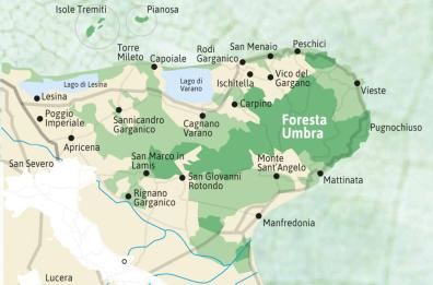 Parco del Gargano, uno scrigno di biodiversità da tutelare