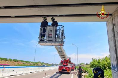 Tir urta cavalcavia con braccio meccanico nel Barese: calcinacci colpiscono auto in transito