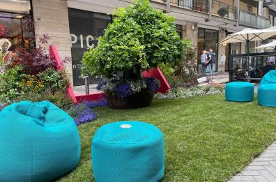 A Bari torna la Primavera del mediterraneo e in centro sbocciano fiori