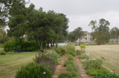 Orto botanico, Palazzo Famularo e Dimora storica Muratore: sono  i giardini di Lecce aperti alle visite
