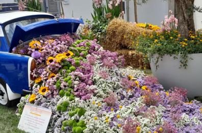 «Leverano in Fiore» fa il pieno di visitatori per i fioristi arrivati da numerosi Paesi del mondo 