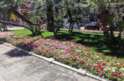 Bari, per l'estate nuova vita nelle aiuole davanti al Teatro Petruzzelli