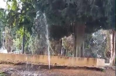 Andria, vandali in azione nella villa comunale: danneggiati gli irrigatori