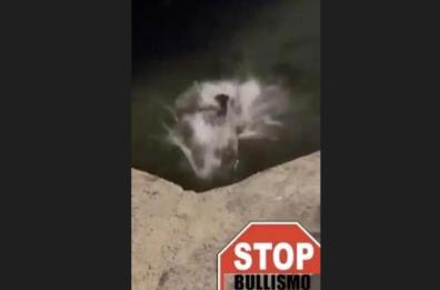 Prendono a calci ragazzo e lo gettano in mare a Bari: il video indigna il web. L'assessora Bottalico: una sconfitta