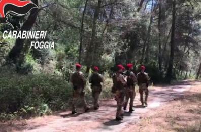 Dopo l’omicidio di Domenico Pio Notarangelo a Mattinata si teme una nuova guerra tra clan
