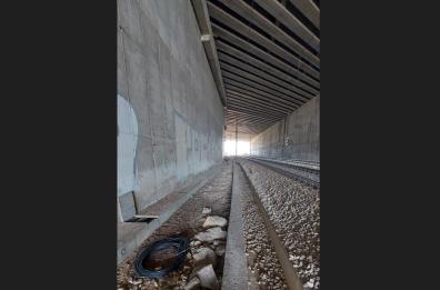 Treni sempre in ritardo: «è colpa di 16 furti di cavi in 50 giorni». La denuncia di Ferrotramviaria

