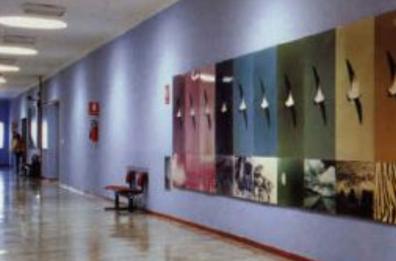 Regione, parte con il rinnovo del Cda di InnovaPuglia il nuovo risiko delle nomine