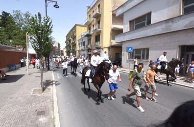 La vigilia della festa della Madonna della Bruna a Matera