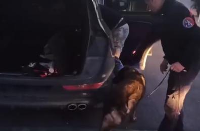 Bisceglie, nel porto traffico di droga e sigarette con la complicità di finti pescatori: 13 arresti/VIDEO