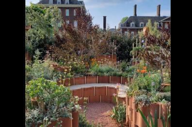 Bari, il Politecnico sbarca a Londra col giardino sensoriale costruito nel «Fablab» digitale