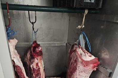 Trani, lavorava la carne in un garage: sequestrata macelleria abusiva e denunciato un 63enne