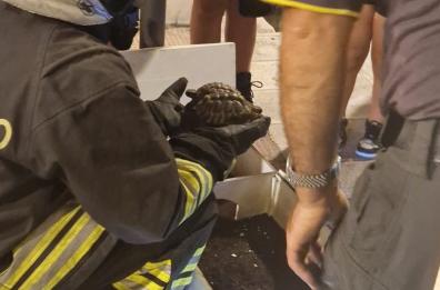 Putignano, in fiamme appartamento in centro: nessun ferito e salve anche le tartarughe dei piccoli di casa