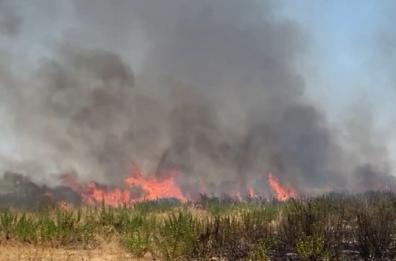 Bari a fuoco: incendi in città e in provincia. Fiamme anche a Casamassima