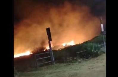 Brindisi, ennesimo incendio a Punta del Serrone: devastata la macchia mediterranea
