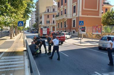Bari, fogliame prende fuoco in un tombino di viale della Repubblica