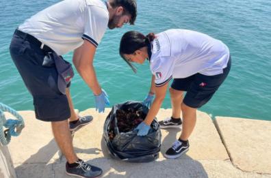 Ambulante vende ricci di mare per strada a Barletta: sanzionato