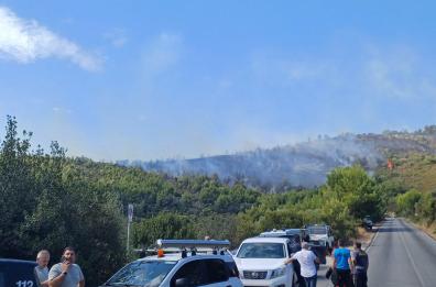 Paura a Vieste: incendio brucia bosco sopra Baia San Felice. Il sindaco: «È doloso». Evacuata Baia dei Campi, aperta inchiesta VIDEO