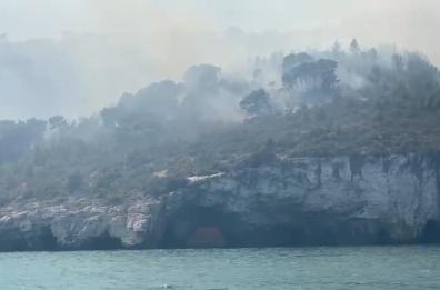 Vieste in fiamme, le operazioni di spegnimento dell'incendio nel bosco della Baia San Felice. Il sindaco: «La situazione è tornata sotto controllo»