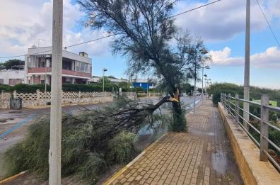 Bomba d'acqua su Castellaneta Marina, alberi spezzati e sottopassi allagati