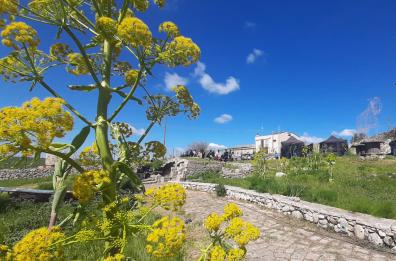 La via Appia è ufficialmente nel Patrimonio Mondiale Unesco: 60esimo sito in Italia