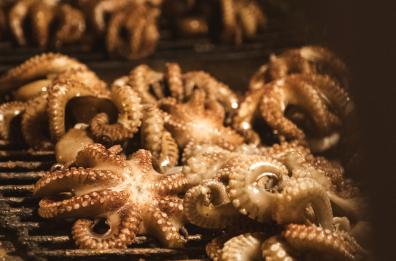 Mola di Bari, grande successo per la Sagra del Polpo