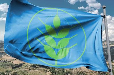 Assegnate le Spighe Verdi 2024: tra i 75 comuni virtuosi anche Andria e Bisceglie