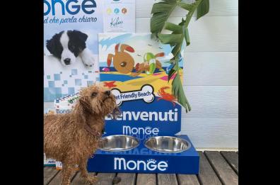 Salento, contro l’abbandono nei lidi «amici degli animali»  il cibo è gratis