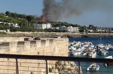 Santa Caterina, appiccano il fuoco alla pineta: denunciati tre piromani minorenni