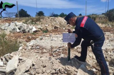 Escalation di reati contro l’ambiente: Lecce «raddoppia» ed è decima in Italia