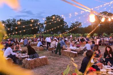 Sagre, eventi e feste,  l’estate esalta il food