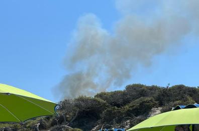 Fiamme in una pineta a Torre dell'Orso: incendio domato dai volontari