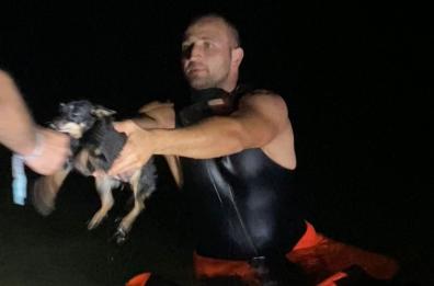 Waterfront di San Girolamo, finisce in acqua spaventato dai botti: cagnolino salvo grazie ai Vigili del fuoco 