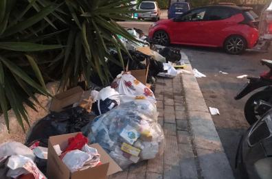 Bari, consigliere Pd contro l'Amiu: «Al S. Paolo raccolta porta a porta disastrosa»