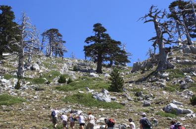 Il Pollino 2024 è meta degli stranieri