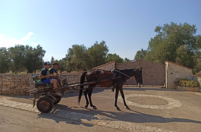 Ceglie Messapica, spunta un calesse fuori da masseria Beneficio: «Offriamo un giro alla figlia della Meloni»