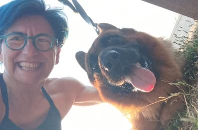 Salento, salvò la sua padrona in difficoltà in mare aperto: premiato il cane Giulio