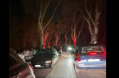 «Turismo cafone» a Castel del Monte: pineta lasciata in balia di se stessa