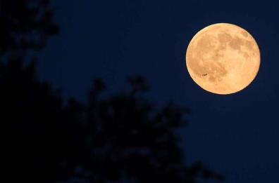 Arriva la Superluna blu: visibile anche dalla Puglia il suggestivo fenomeno astronomico