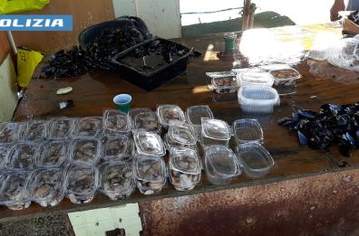Tra laboratori e banchetti abusivi, sequestrati cinque quintali di cozze a Taranto