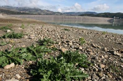 Crisi idrica nel bacino Basento-Camastra, la Basilicata chiederà lo stato d'emergenza per 29 comuni 