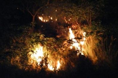 Nardò, ripreso dalle fototrappole mentre appicca il fuoco in un uliveto: denunciato 50enne