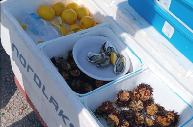 Bari, blitz tra i turisti sul molo San Nicola: sequestrati cinque chili di pesce crudo