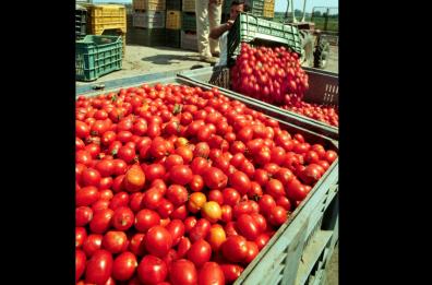 Dalla salsa solidale a quel «si può fare» per battere le ingiustizie