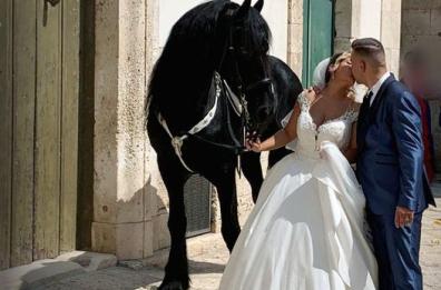 Casamassima, niente limousine: la sposa arriva all'altare in sella al cavallo Furore