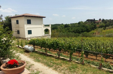 Cambiamenti climatici, in affanno gli agricoltori della Basilicata
